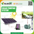 Système de pompage d'eau agricole solaire 75HP