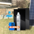 Pompe solaire principale du système 600W de pompe à eau solaire de DC 48V de pompe à eau de Bluesun 80m pour le puits profond
