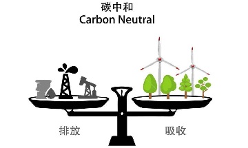 Efforts pour promouvoir la réalisation des objectifs de pic carbone et de neutralité carbone